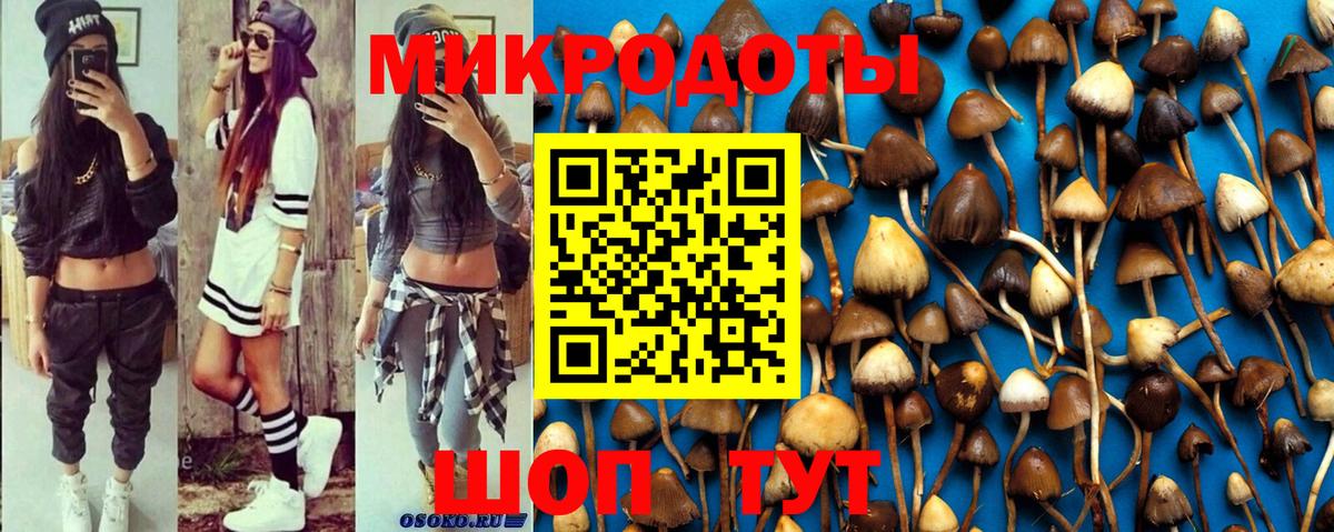 где найти наркотики  Вход с VPN  Гулькевичи  Псилоцибиновые грибы Cubensis 